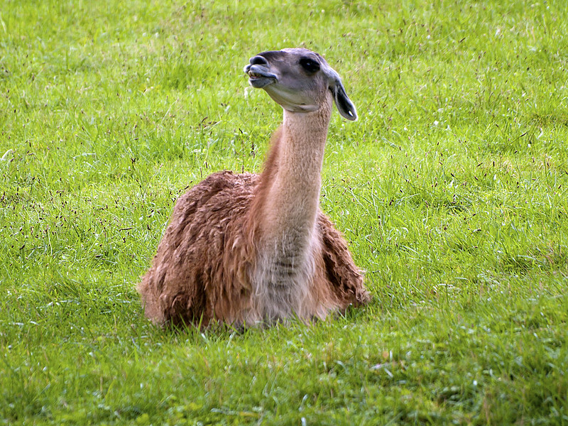 Louisville Zoo