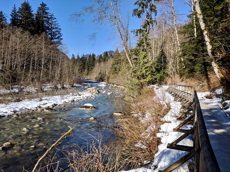 Lynn Canyon