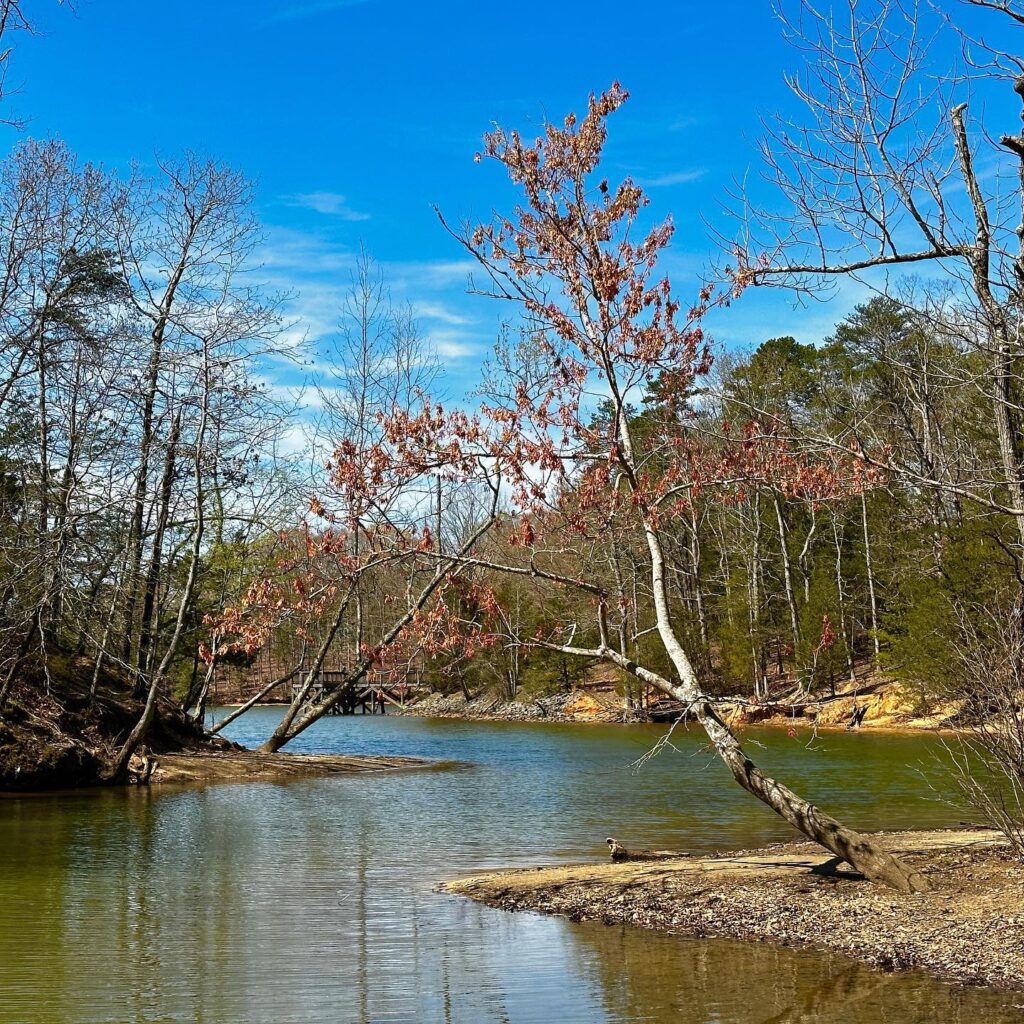 McDowell Nature Preserve and Center