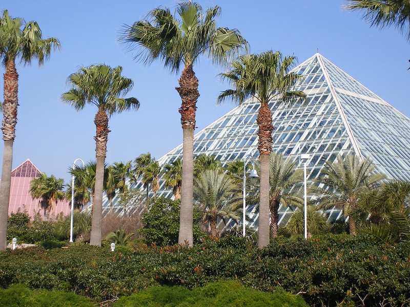 Moody Gardens Galveston