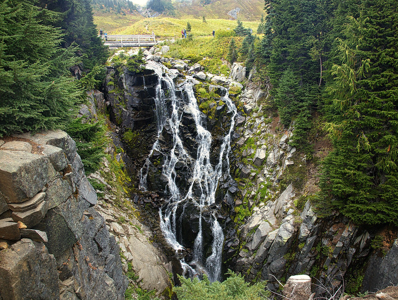 Myrtle Falls Trail