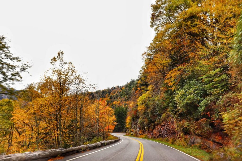 Newfound Gap Road