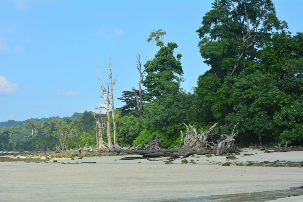 Nicobar Island