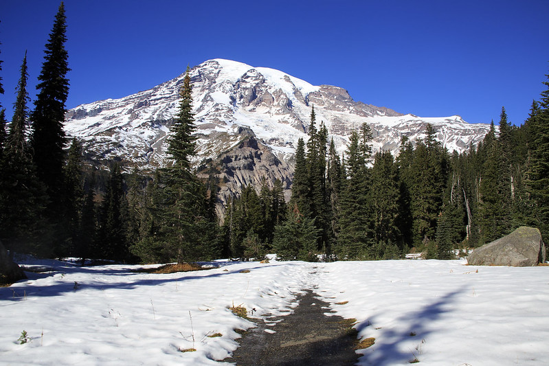 Nisqually Vista Trail