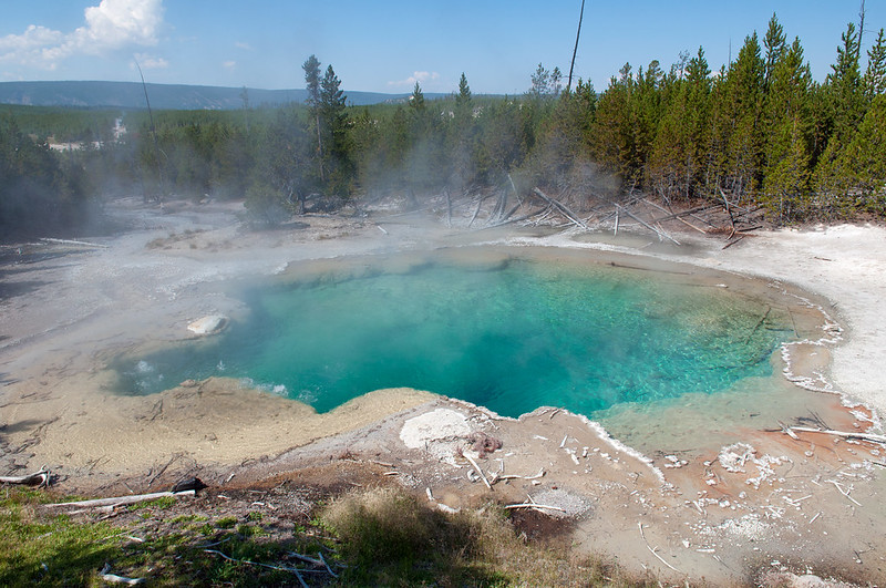 Norris Geyser Basin