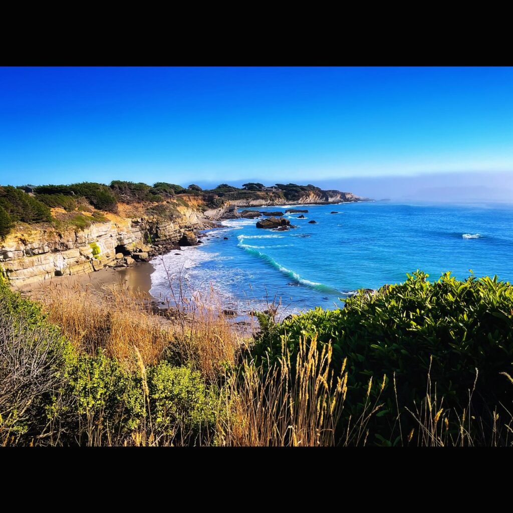 Pacific Coast Beaches: A Wild and Scenic Experience