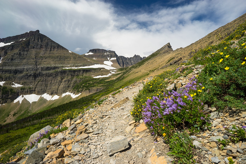 Piegan Pass Trail