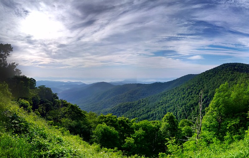 Pisgah National Forest: A Bastion of Natural Art and Adventure