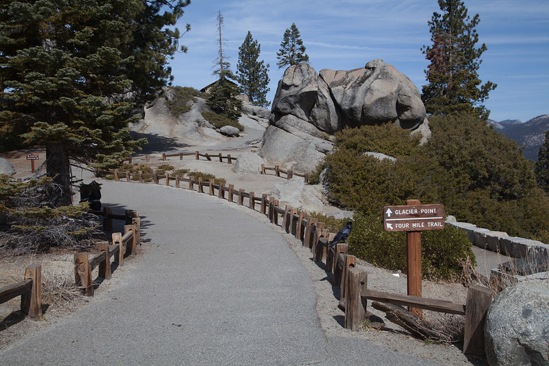 Pohono Trail to Glacier Point
