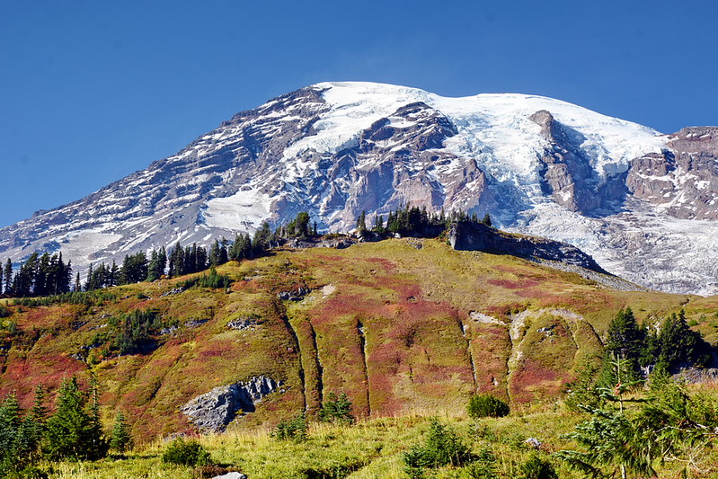 Quick Guide to Mount Rainier National Park