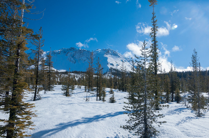 Quiet Stillness in winter snowshoeing through the forest