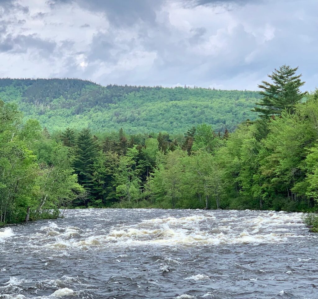 Rapids in Maine How to Beat the White Water