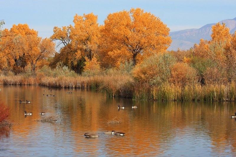 Rio Grande Nature Center State Park