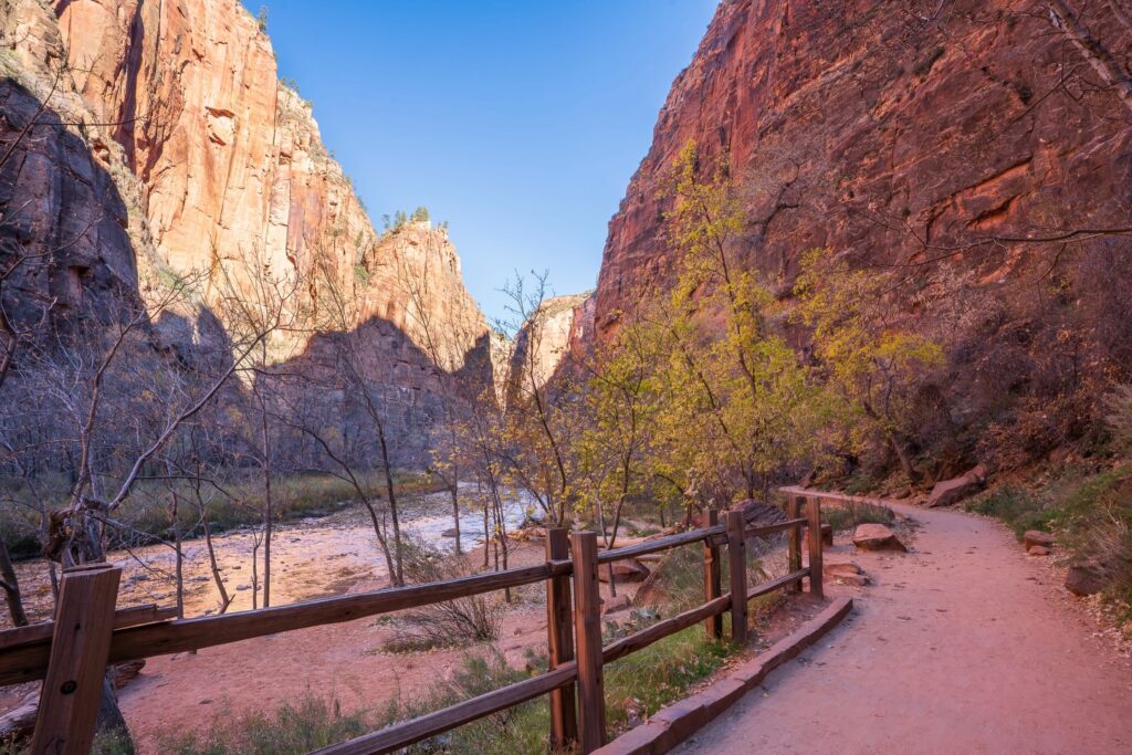 Riverside of Zion National Park