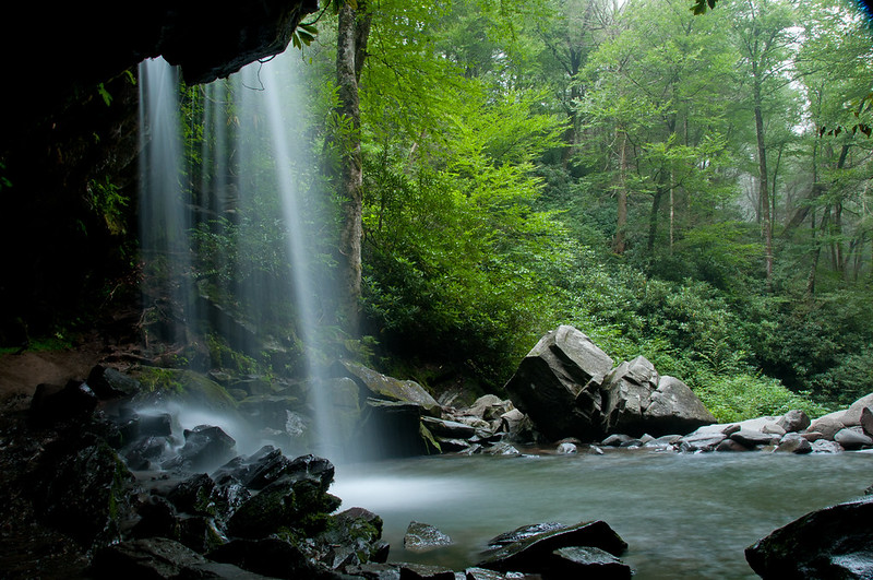 Roaring Fork Motor Nature Trail.