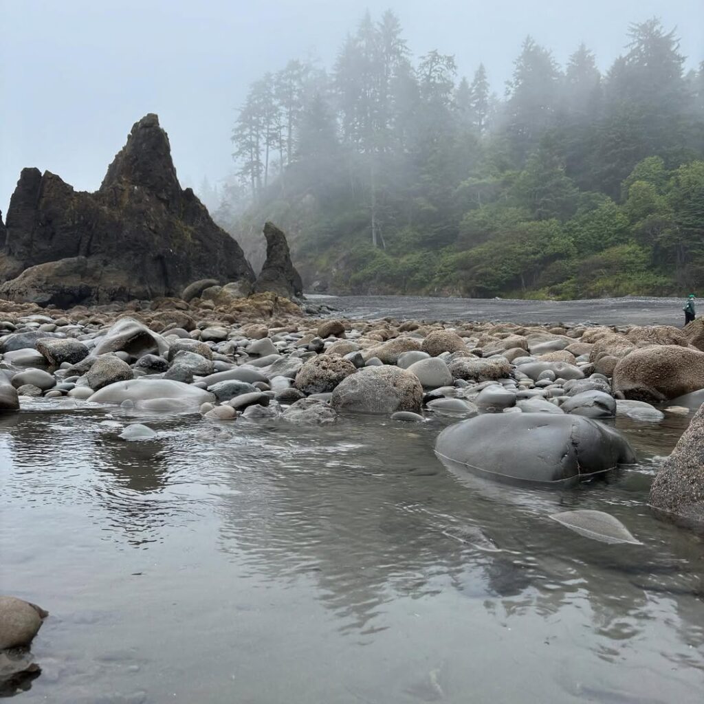 Ruby Beach, Olympic National Park