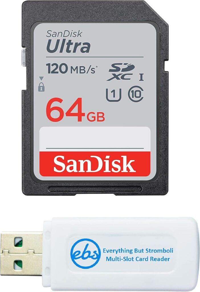 Sandisk memory card