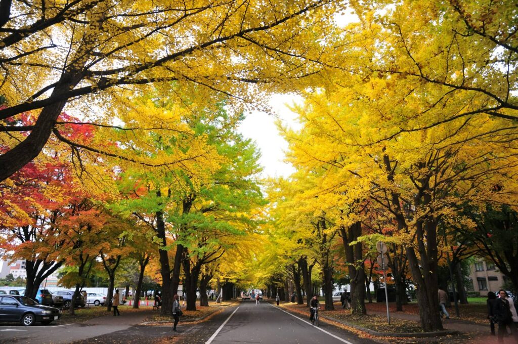 Sapporo
