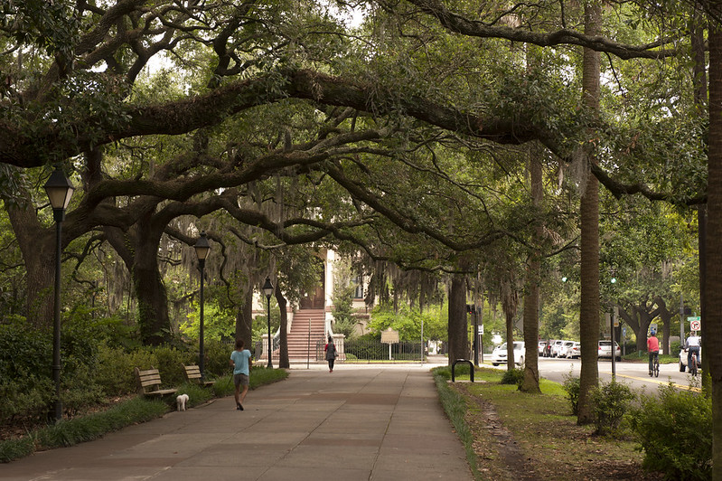 Savannah