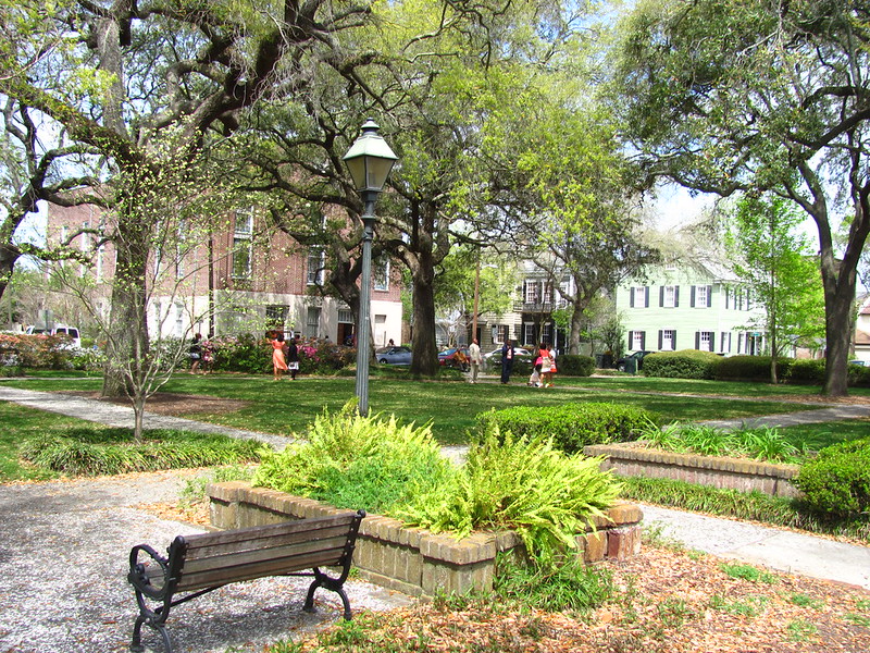 Savannah