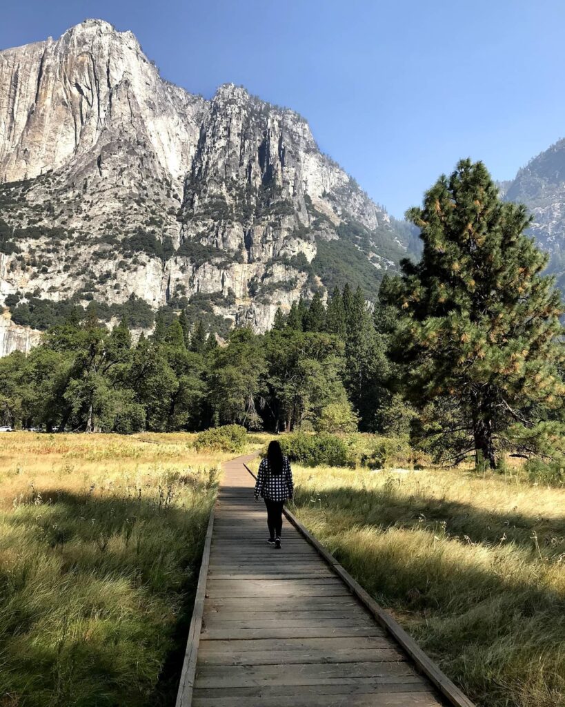 Sentinel & Cook’s Meadow Loop