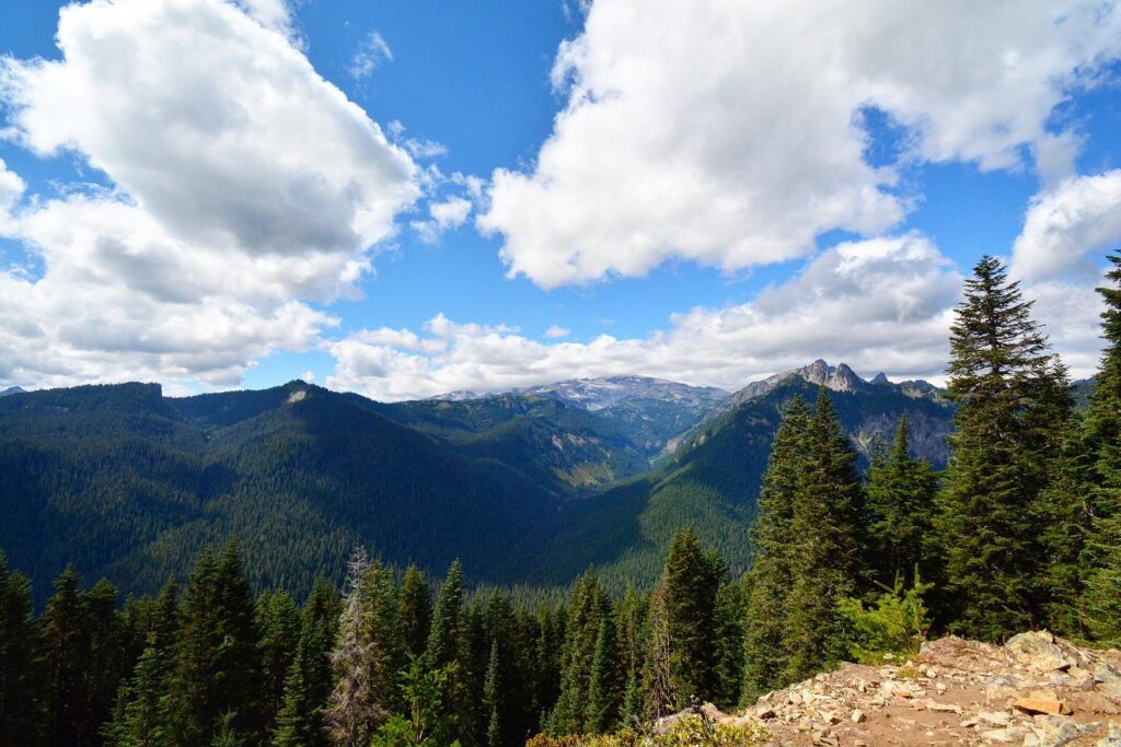 Shriner Peak Lookout Trail