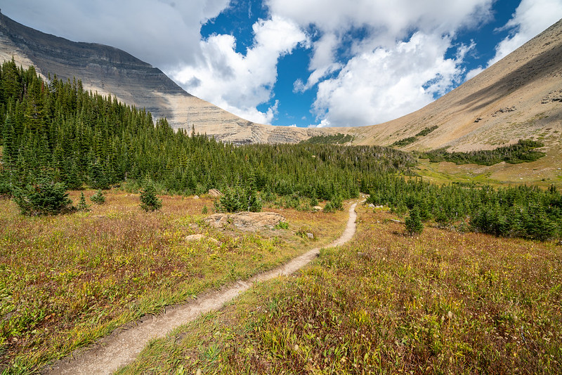 Siyeh Pass Trail