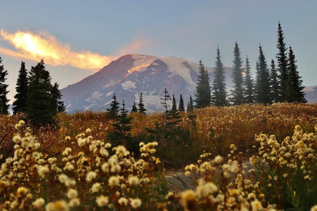 Skyline Trail, Mount Rainier National Park