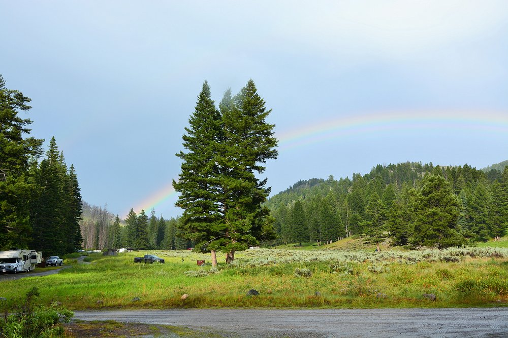 Slough Creek Campground Overview
