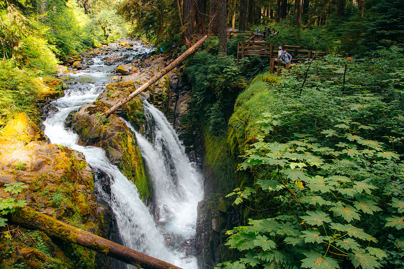 Sol Duc Falls Trail