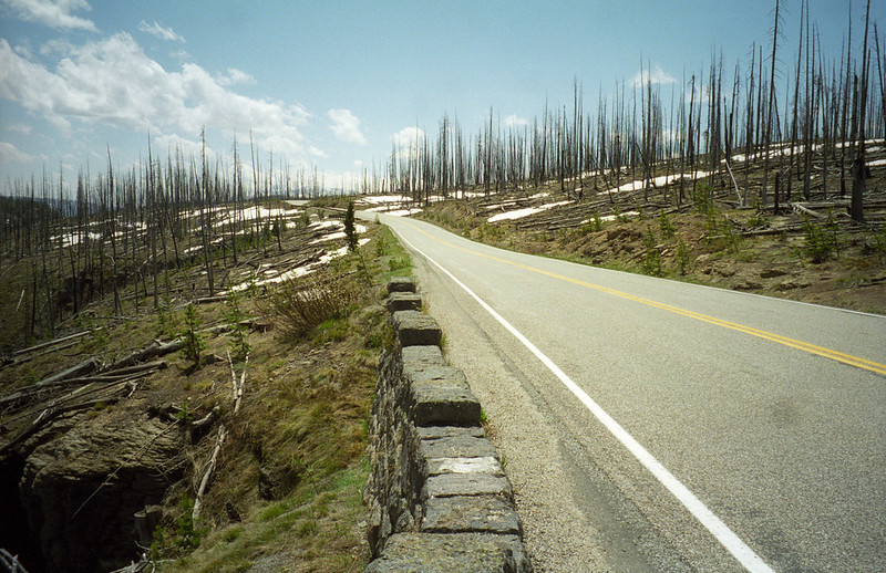 South Entrance and West Thumb