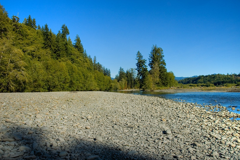 Stays Near Forks, Hoh Rain Forest & Pacific Coast Beaches