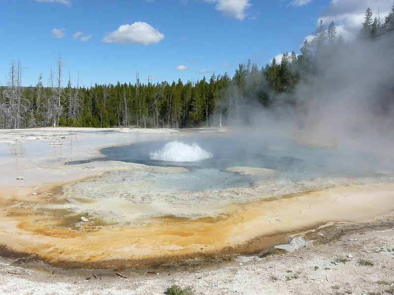 Stop 2 Upper Geyser Basin