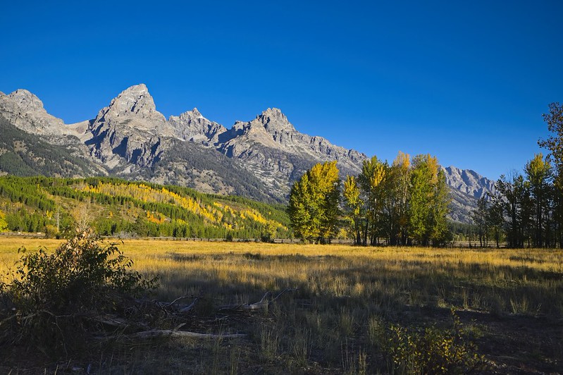 Stop 3 Explore Grand Teton National Park on Your Yellowstone Road Trip