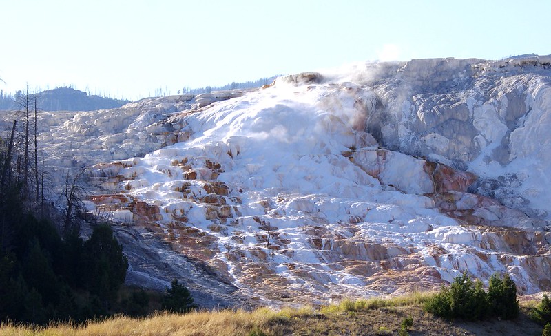 Stop 3 Mammoth Hot Springs