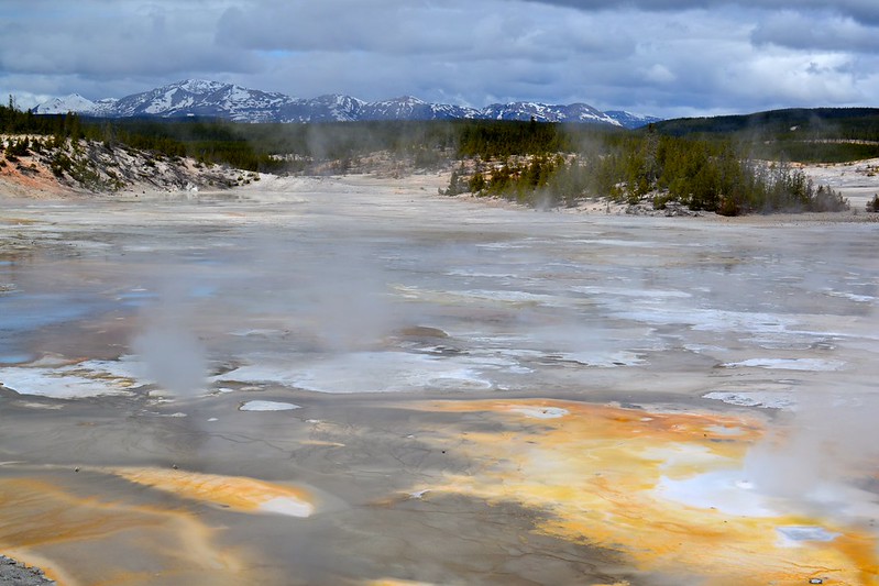 Stop 5: Norris Geyser Basin
