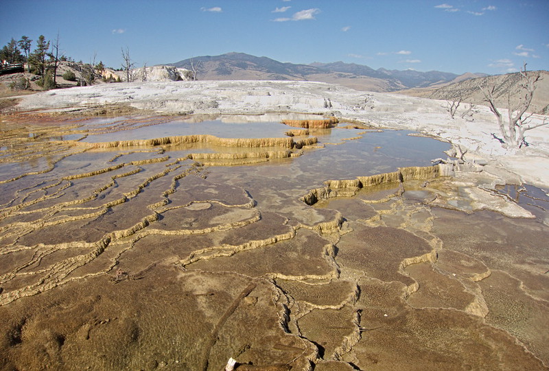 Stop 6 Mammoth – A Yellowstone Road Trip Highlight