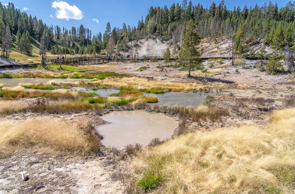 Stop 9 Winding Down Your Yellowstone Road Trip