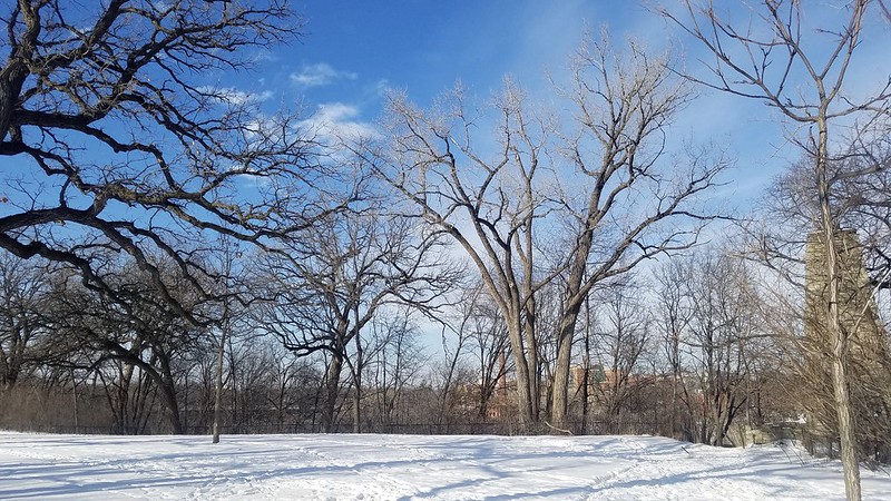 Stroll In Minnehaha Regional Park.