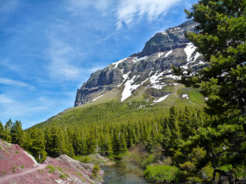 Swiftcurrent Pass Trail