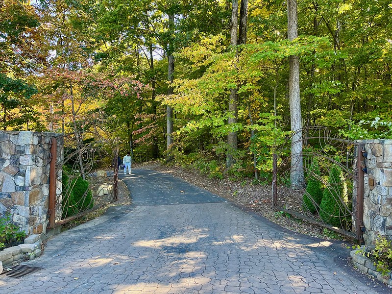 Take a Walk in the Woods with the Staff at the Edith J. Carrier Arboretum, a Quiet Place to Recharge in Virginia