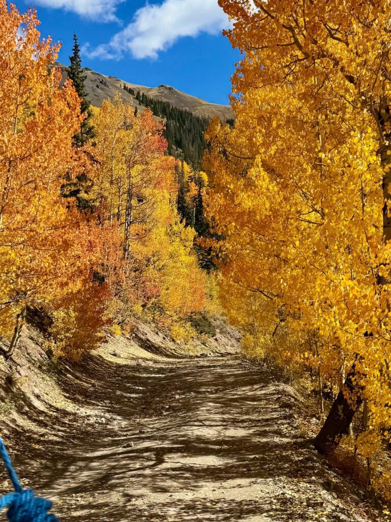 The Alpine Loop in Silverton