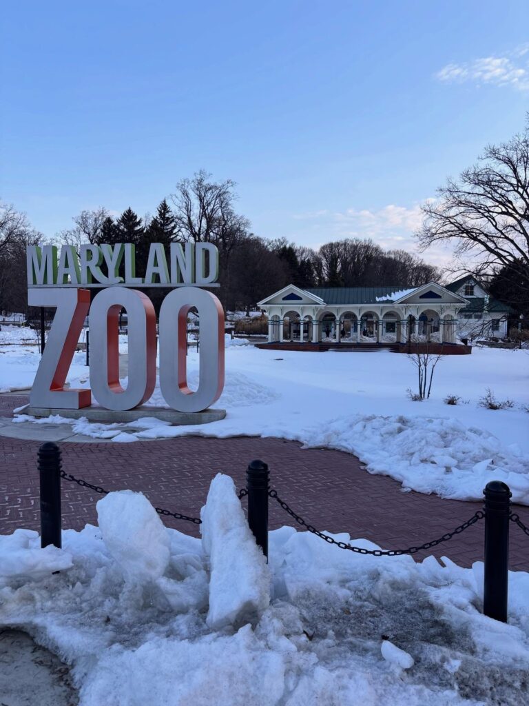 The Maryland Zoo