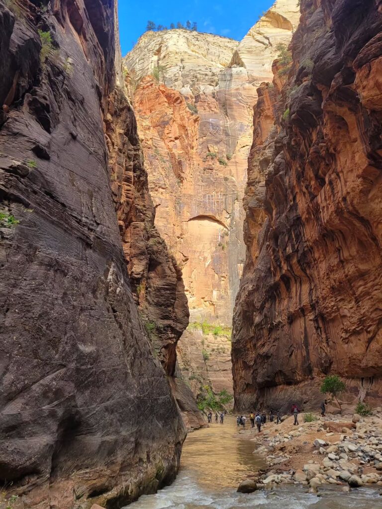 The Narrows Zion National Park
