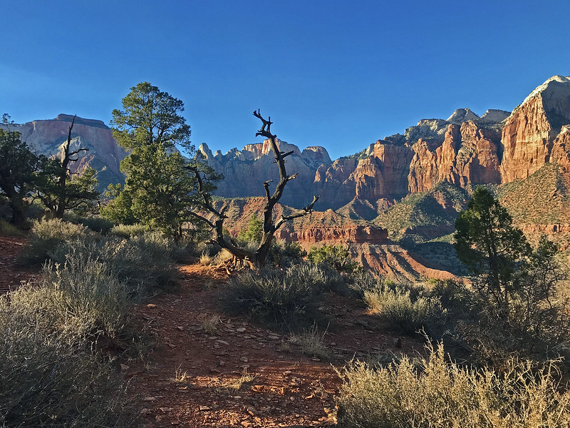 The Watchman Trail
