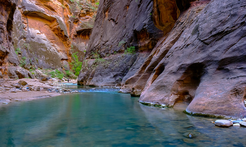 The Zion Narrows: A Water-Filled Adventure
