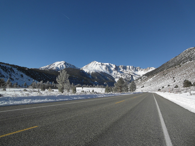 Tioga road