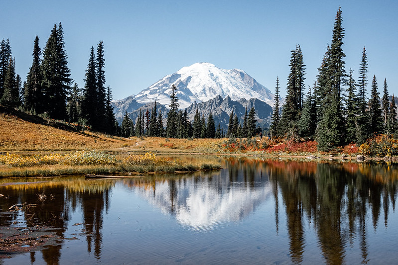 Tipsoo Lake Loop Trail