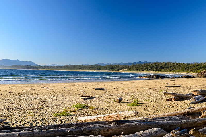 Tofino, Canada: A Hidden Family Beach Retreat