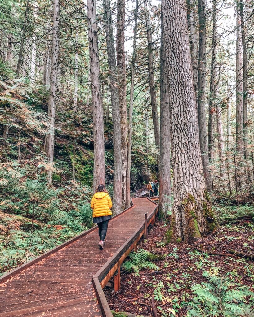 Trail of the Cedars